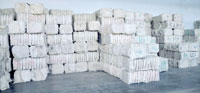 Raw Cotton 02 Manufacturer Supplier Wholesale Exporter Importer Buyer Trader Retailer in Mumbai Maharashtra India